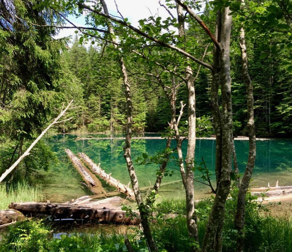 Вілла Waldnerhuette Гермагор Екстер'єр фото