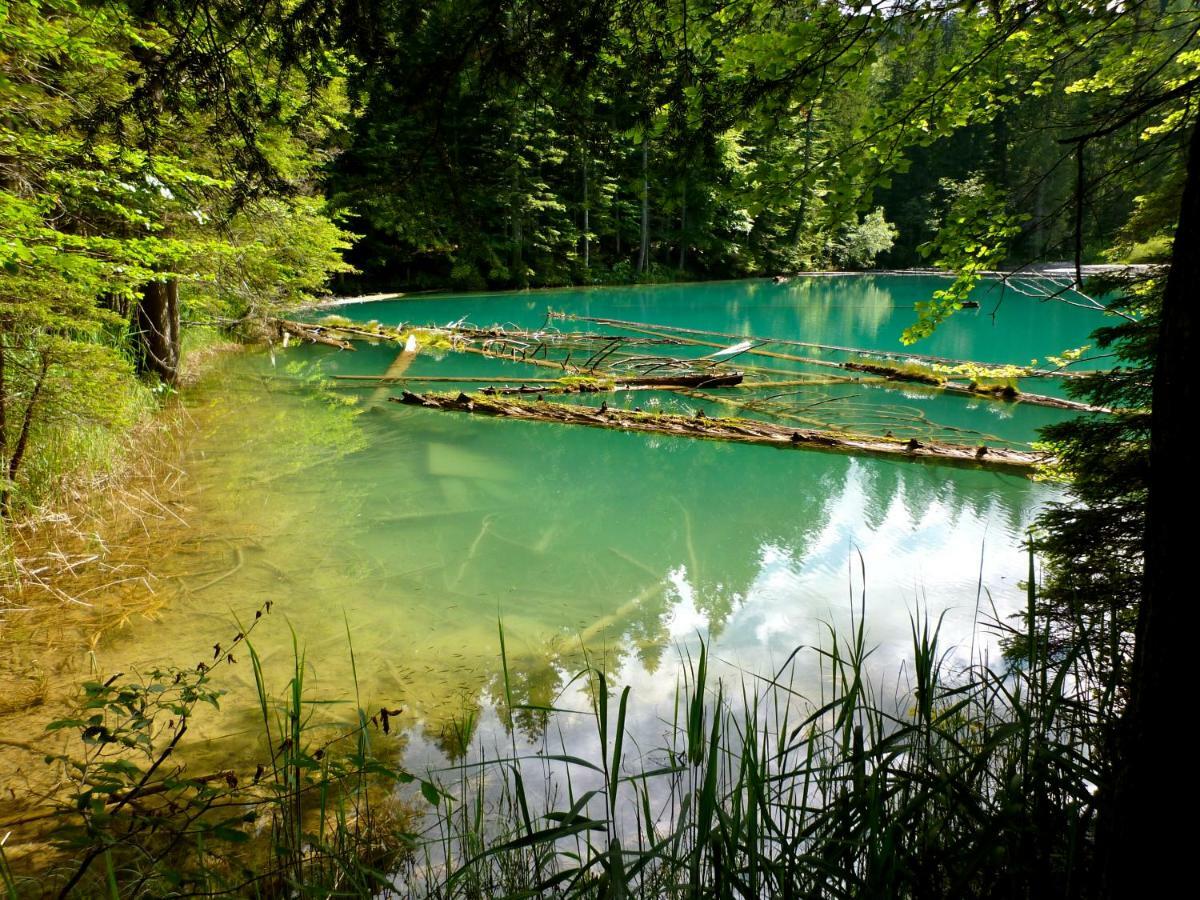 Вілла Waldnerhuette Гермагор Екстер'єр фото